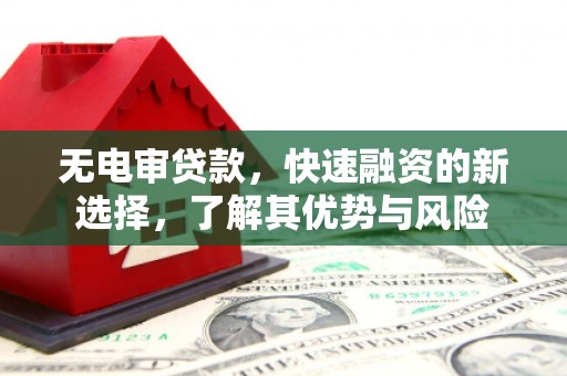 秀英无电审贷款，快速融资的新选择，了解其优势与风险