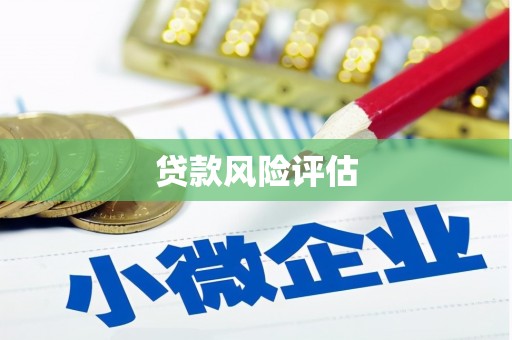 秀英贷款风险评估