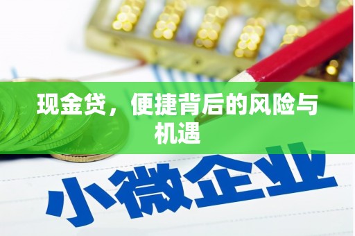 秀英现金贷，便捷背后的风险与机遇