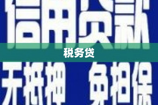 秀英税务贷