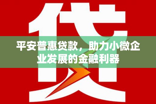 秀英平安普惠贷款，助力小微企业发展的金融利器