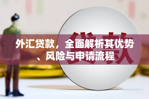 秀英外汇贷款，全面解析其优势、风险与申请流程