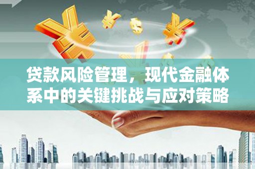 秀英贷款风险管理，现代金融体系中的关键挑战与应对策略