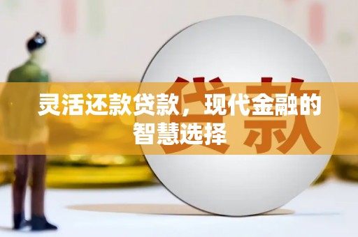 秀英灵活还款贷款，现代金融的智慧选择