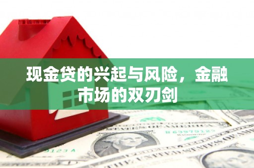 秀英现金贷的兴起与风险，金融市场的双刃剑