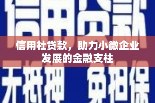 秀英信用社贷款，助力小微企业发展的金融支柱