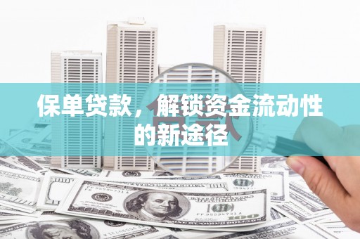 秀英保单贷款，解锁资金流动性的新途径