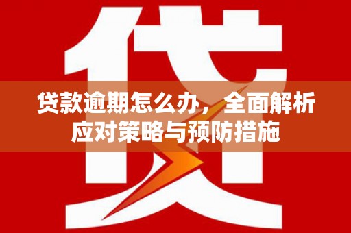 秀英贷款逾期怎么办，全面解析应对策略与预防措施