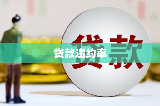 秀英贷款违约率