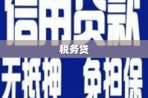 秀英税务贷
