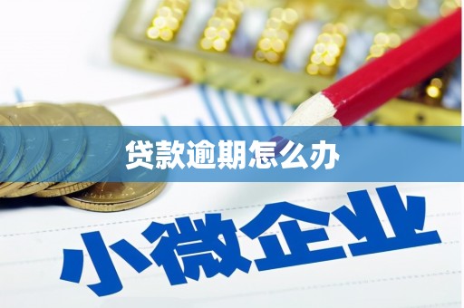 秀英贷款逾期怎么办