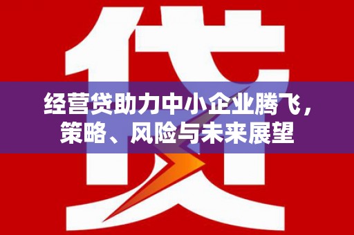 秀英经营贷助力中小企业腾飞，策略、风险与未来展望