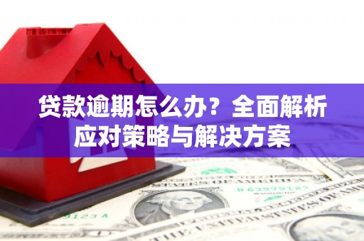 秀英贷款逾期怎么办？全面解析应对策略与解决方案