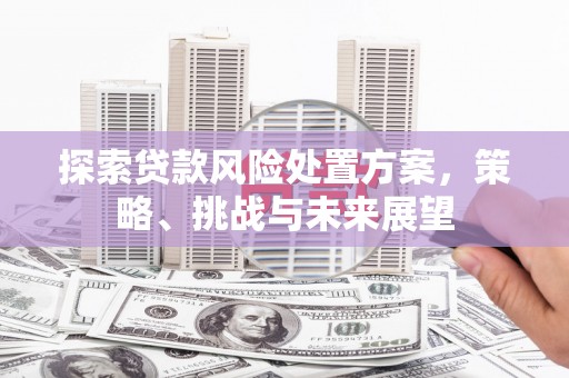 秀英探索贷款风险处置方案，策略、挑战与未来展望
