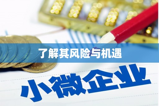 秀英了解其风险与机遇