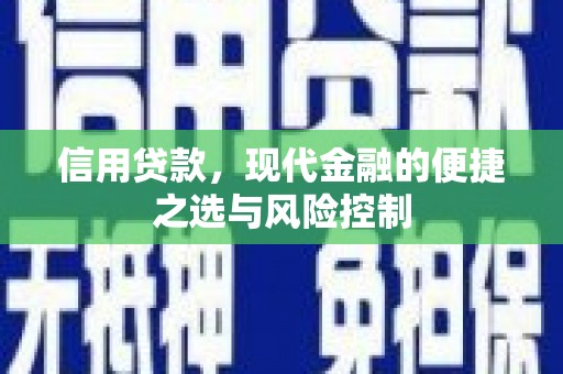 秀英信用贷款，现代金融的便捷之选与风险控制