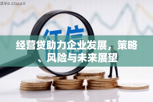 秀英经营贷助力企业发展，策略、风险与未来展望