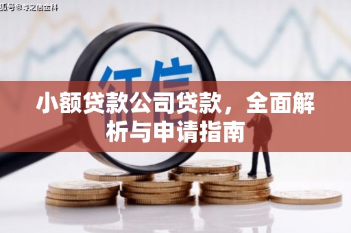秀英小额贷款公司贷款，全面解析与申请指南