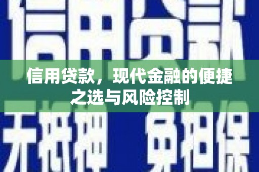 秀英信用贷款，现代金融的便捷之选与风险控制