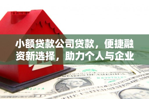 秀英小额贷款公司贷款，便捷融资新选择，助力个人与企业成长