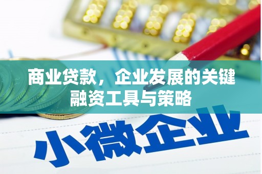 秀英商业贷款，企业发展的关键融资工具与策略