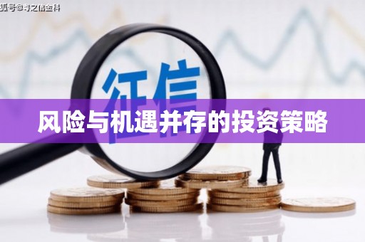 秀英风险与机遇并存的投资策略