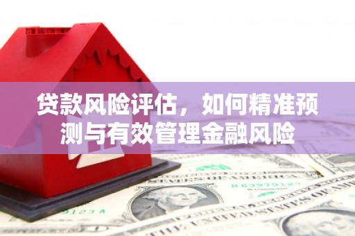 秀英贷款风险评估，如何精准预测与有效管理金融风险