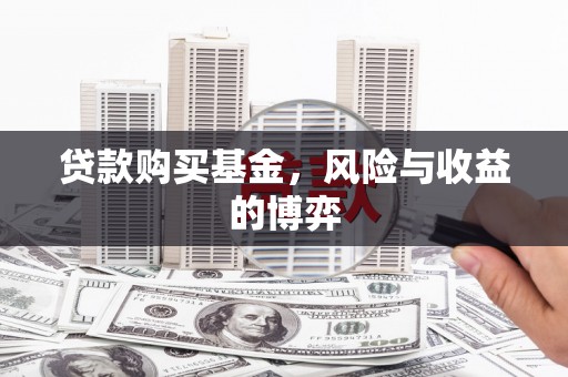 秀英贷款购买基金，风险与收益的博弈