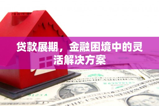 秀英贷款展期，金融困境中的灵活解决方案