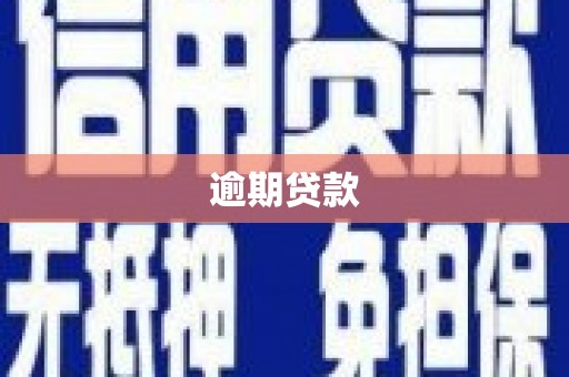 秀英逾期贷款