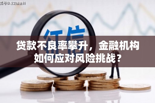 秀英贷款不良率攀升，金融机构如何应对风险挑战？