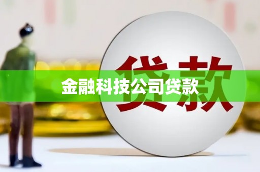 秀英金融科技公司贷款