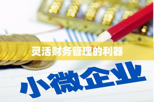 秀英灵活财务管理的利器