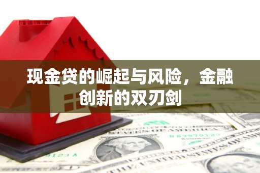 秀英现金贷的崛起与风险，金融创新的双刃剑