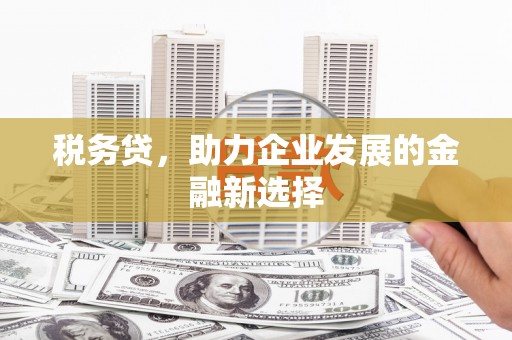 秀英税务贷，助力企业发展的金融新选择