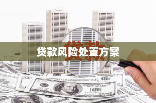 秀英贷款风险处置方案
