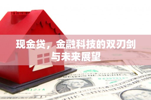 秀英现金贷，金融科技的双刃剑与未来展望