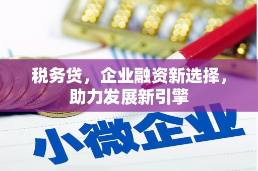 秀英税务贷，企业融资新选择，助力发展新引擎