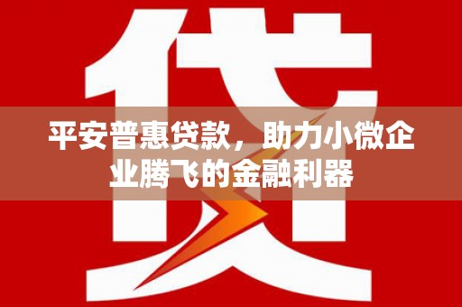 秀英平安普惠贷款，助力小微企业腾飞的金融利器