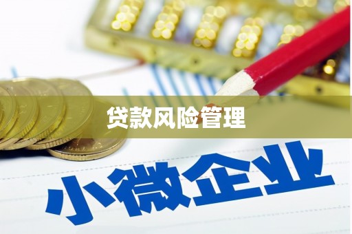 秀英贷款风险管理