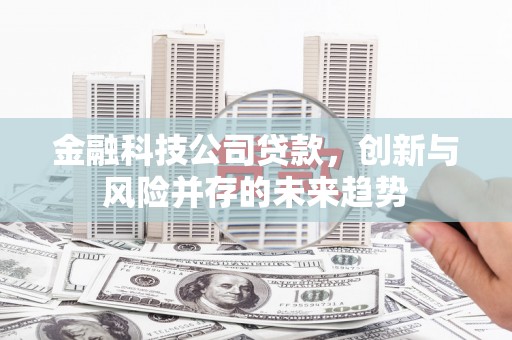 秀英金融科技公司贷款，创新与风险并存的未来趋势