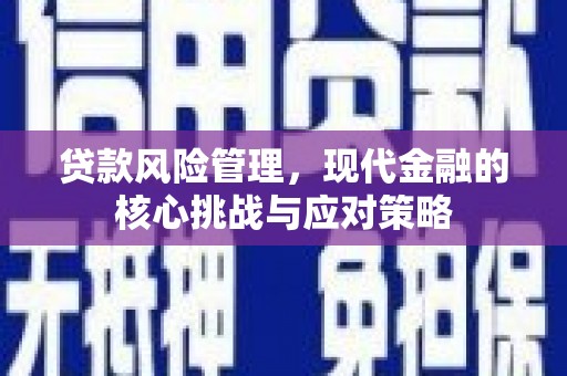 秀英贷款风险管理，现代金融的核心挑战与应对策略