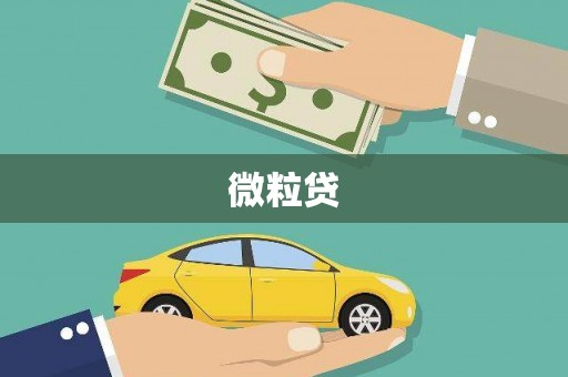 秀英微粒贷