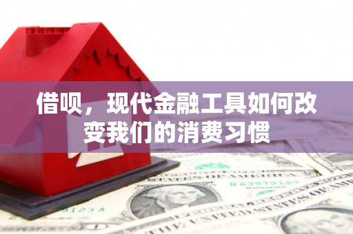 秀英借呗，现代金融工具如何改变我们的消费习惯