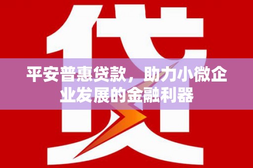 秀英平安普惠贷款，助力小微企业发展的金融利器