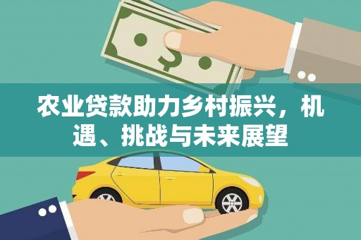 秀英农业贷款助力乡村振兴，机遇、挑战与未来展望
