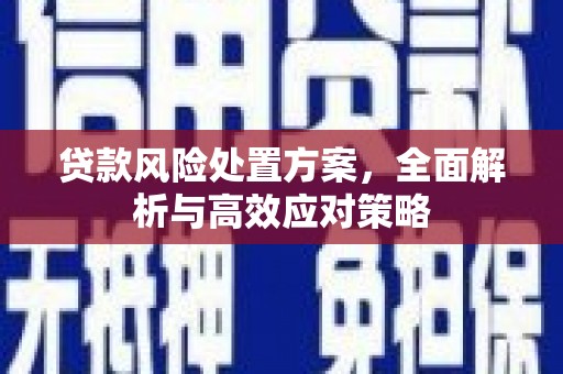 秀英贷款风险处置方案，全面解析与高效应对策略