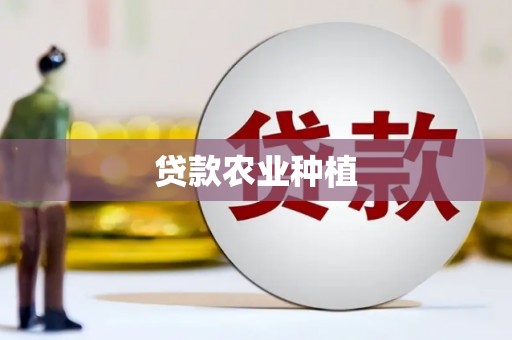 秀英贷款农业种植