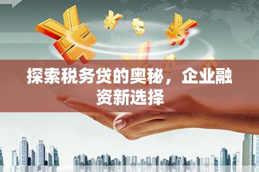 秀英探索税务贷的奥秘，企业融资新选择