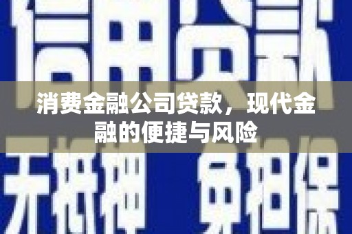 秀英消费金融公司贷款，现代金融的便捷与风险